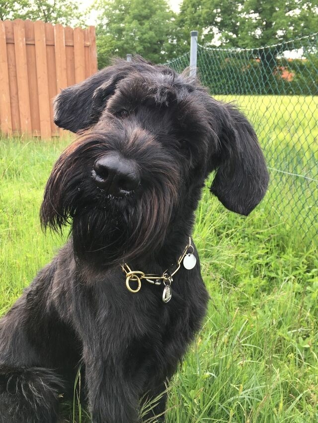Ferienwohnung in Wangels - G&ouml;nn dir eine Auszeit mit Familie und Sauna - Bild 12