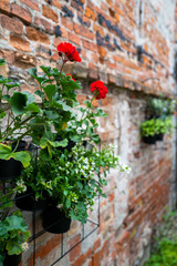 Ferienwohnung in Wismar - TraumZeit Loft - ABC293 - Bild 20