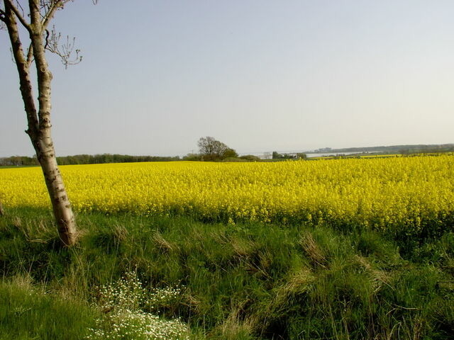 Ferienwohnung in Ostseebad Sch&ouml;nhagen - Haus mit Herz - Ferienwohnung 1 - Bild 24