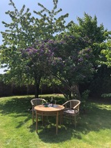 Ferienwohnung in K&uuml;hlungsborn - Leuchtturmstra&szlig;e 3 - 56-03 - Bild 8