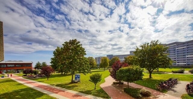 Ferienwohnung in Heiligenhafen - Ferienpark - Haus C, App. 0C0104 - Bild 2